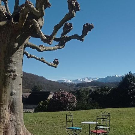 Logement Entier Dans Un Ecrin De Verdure Bidos Buitenkant foto
