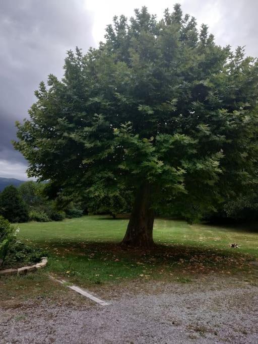 Logement Entier Dans Un Ecrin De Verdure Bidos Buitenkant foto