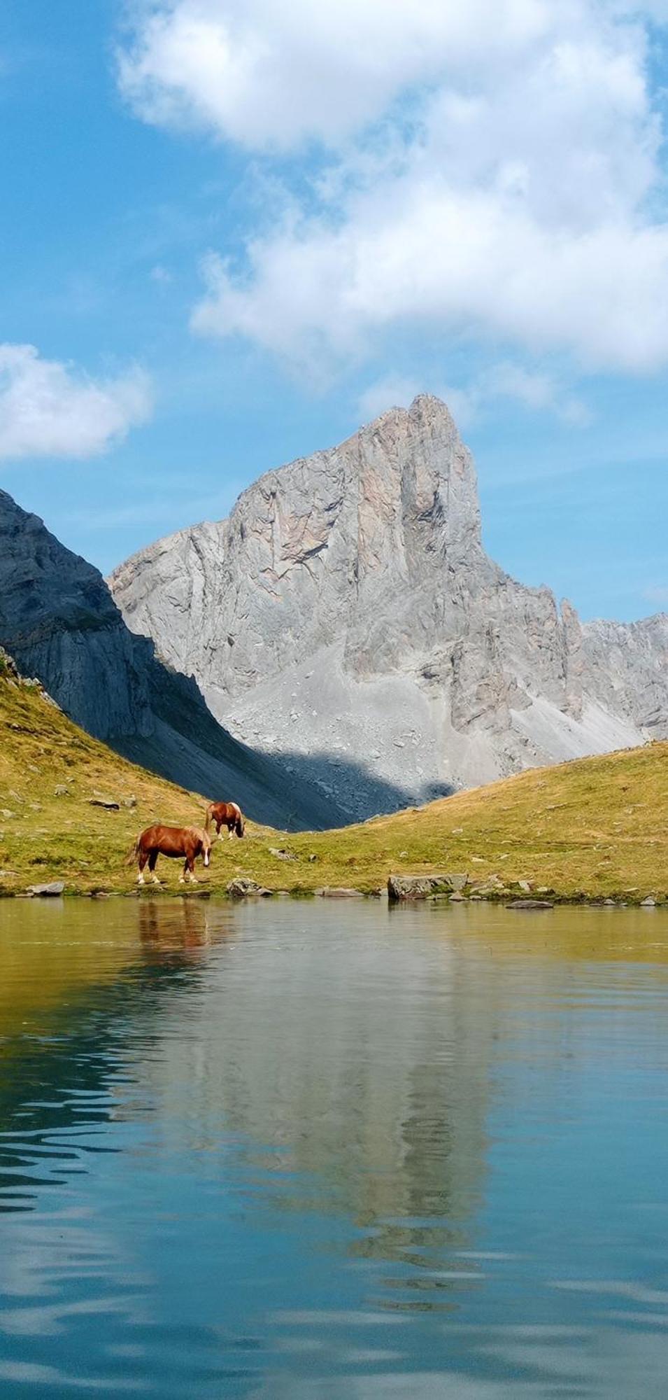 Logement Entier Dans Un Ecrin De Verdure Bidos Buitenkant foto